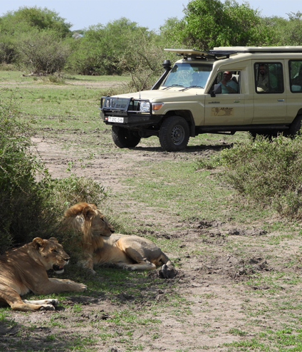 Akshar Tours and Safaris