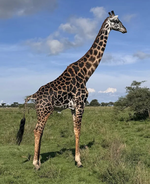 Akshar Tours and Safaris