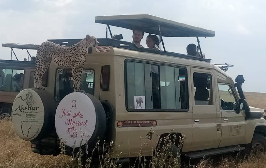 Akshar Tours and Safaris