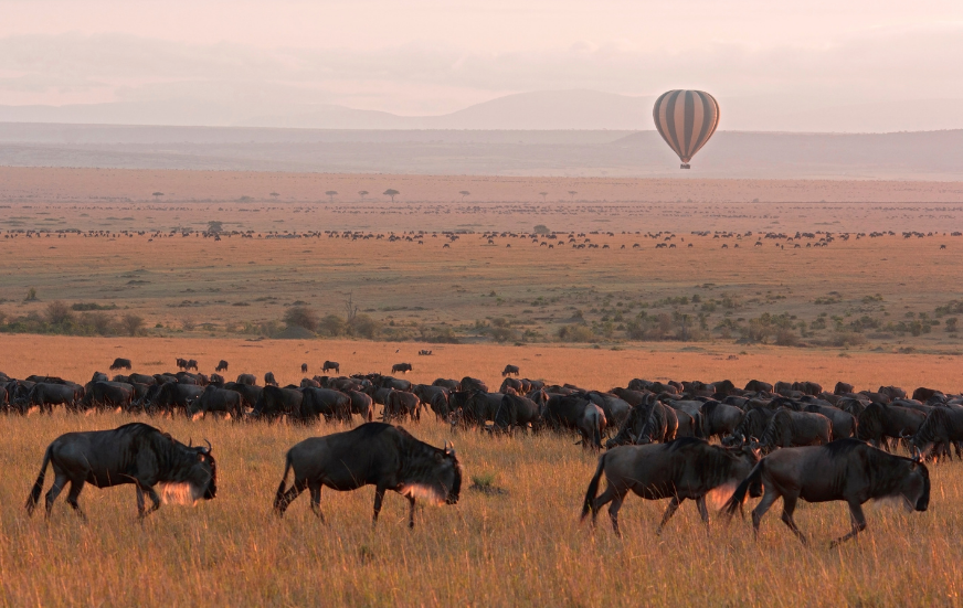 Akshar Tours and Safaris
