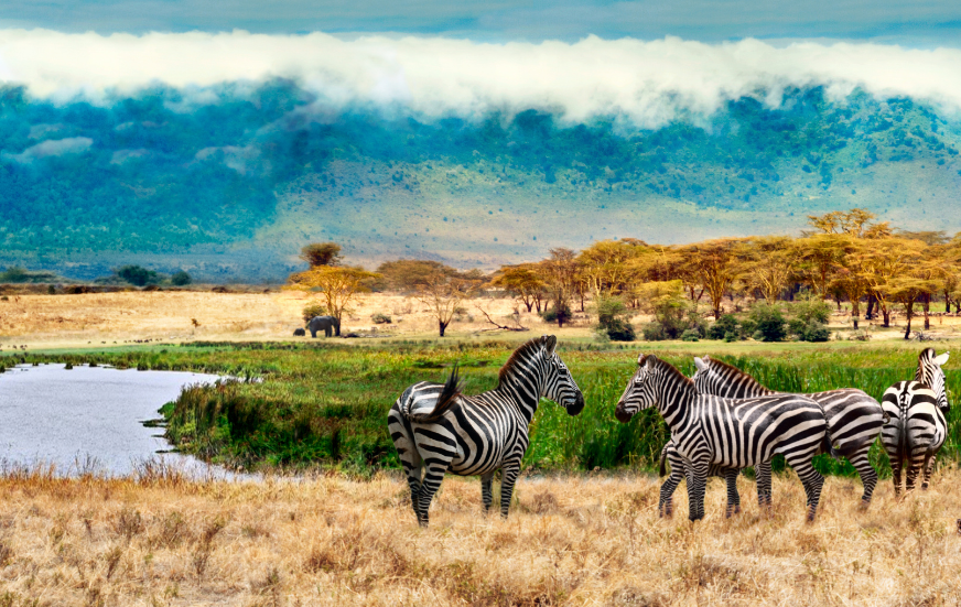 Akshar Tours and Safaris