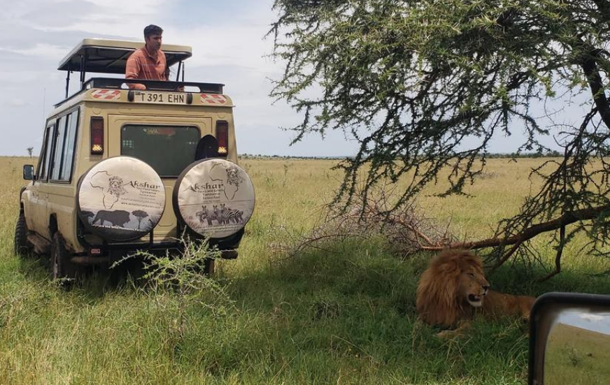 Akshar Tours and Safaris