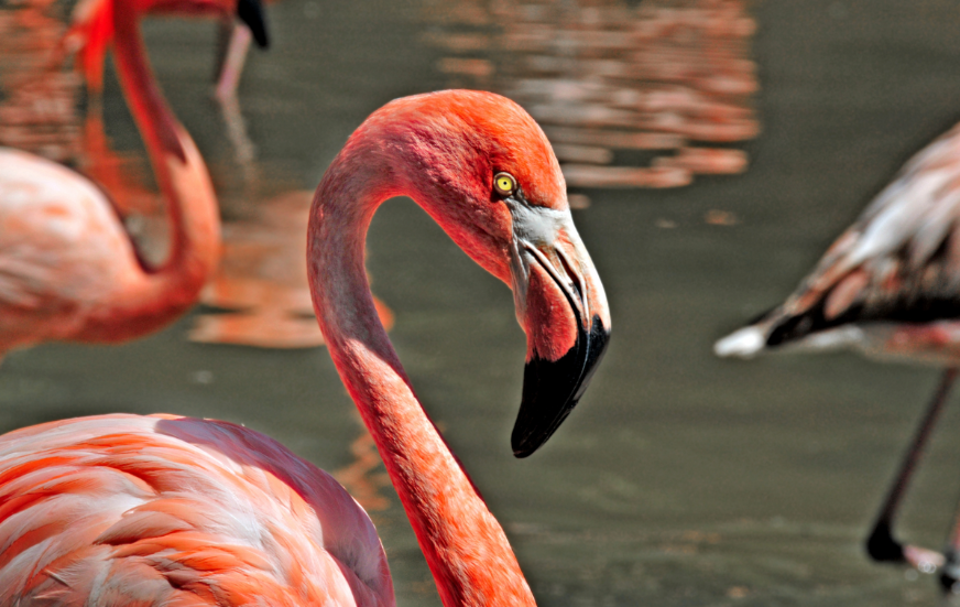 Akshar Tours and Safaris