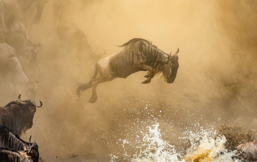 Akshar Tours and Safaris