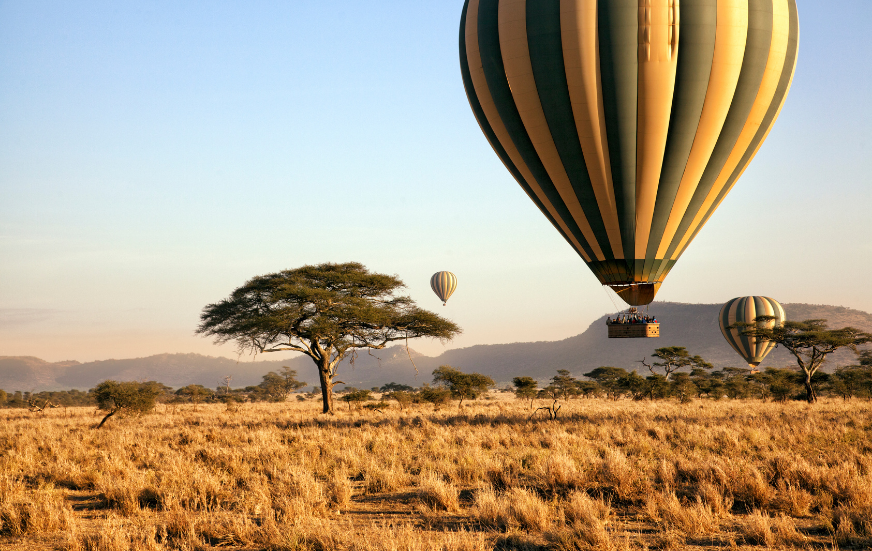 Akshar Tours and Safaris