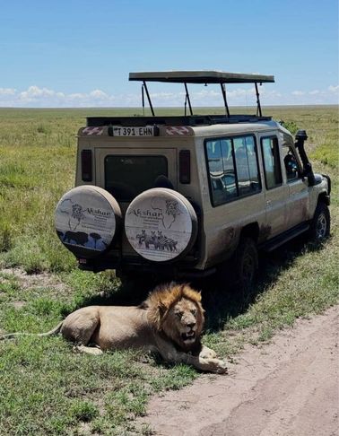 Akshar Tours and Safaris