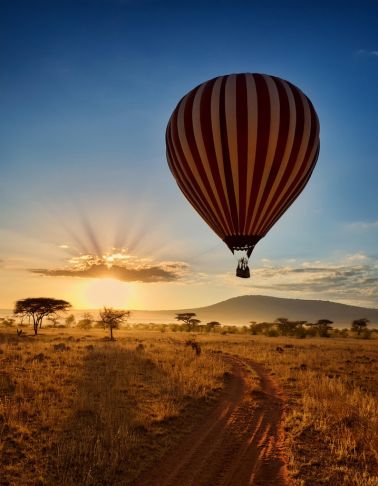 Akshar Tours and Safaris