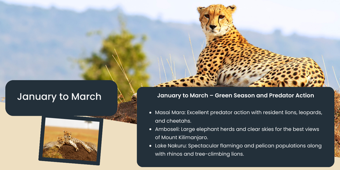 Akshar Tours and Safaris