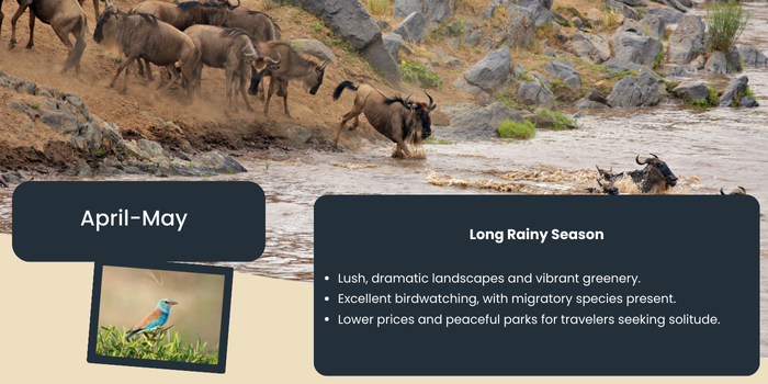 Akshar Tours and Safaris