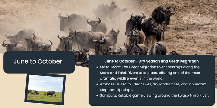 Akshar Tours and Safaris