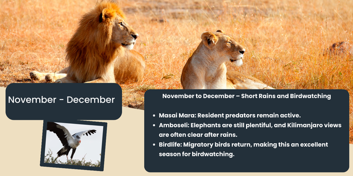 Akshar Tours and Safaris
