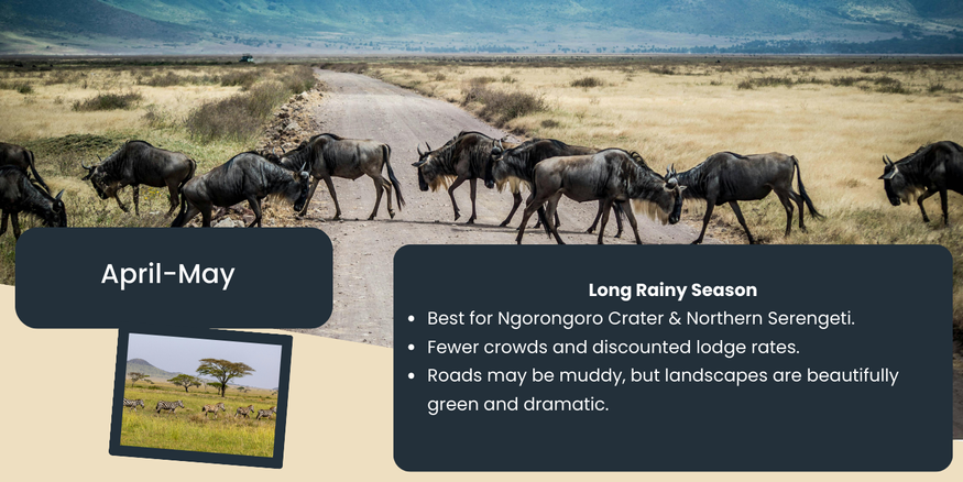 Akshar Tours and Safaris