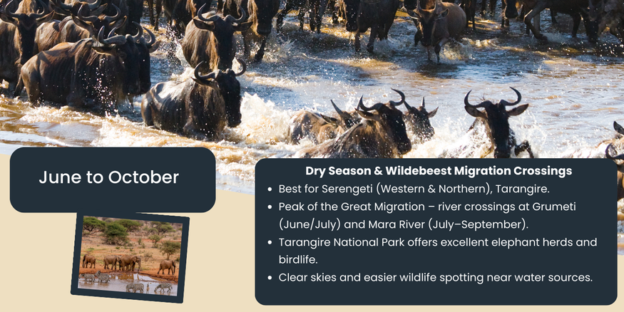 Akshar Tours and Safaris