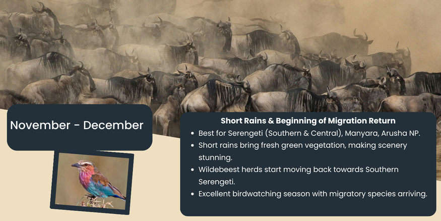 Akshar Tours and Safaris