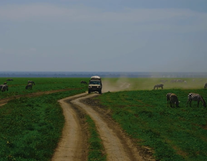 Akshar Tours and Safaris